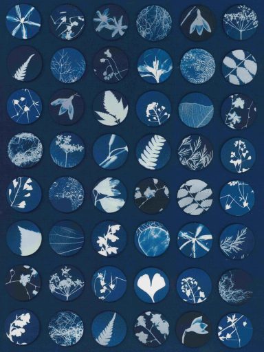 Cyanotypie "Blue Pieces" Cyanotypie "Blue Pieces"